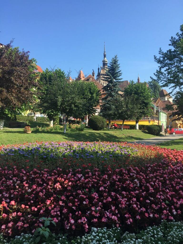 Сигишоара Румыния