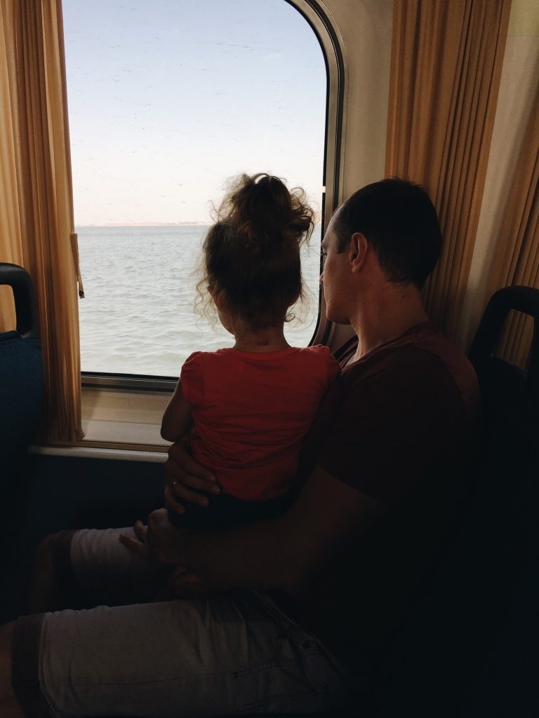 thumb_FHSN8131_1024