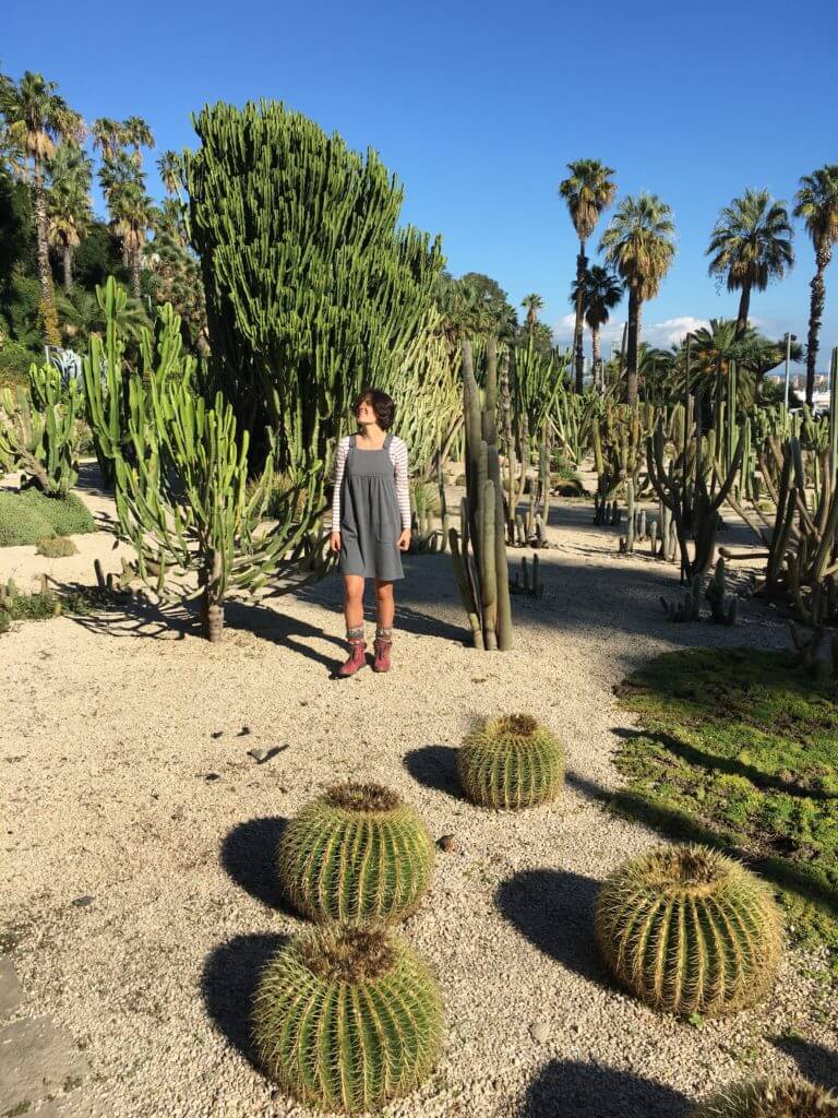 Парк кактусов Jardins de Mossen Costa i Llobera