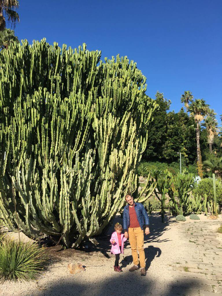 Парк кактусов Jardins de Mossen Costa i Llobera