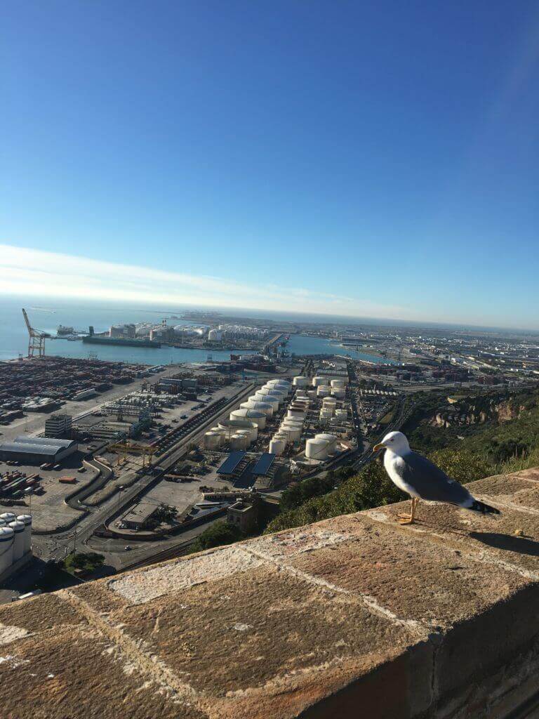 Барселона в ноябре
