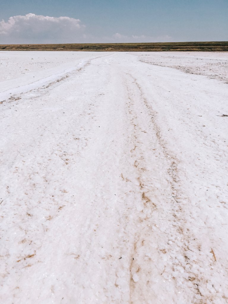 Солонец-Тузлы