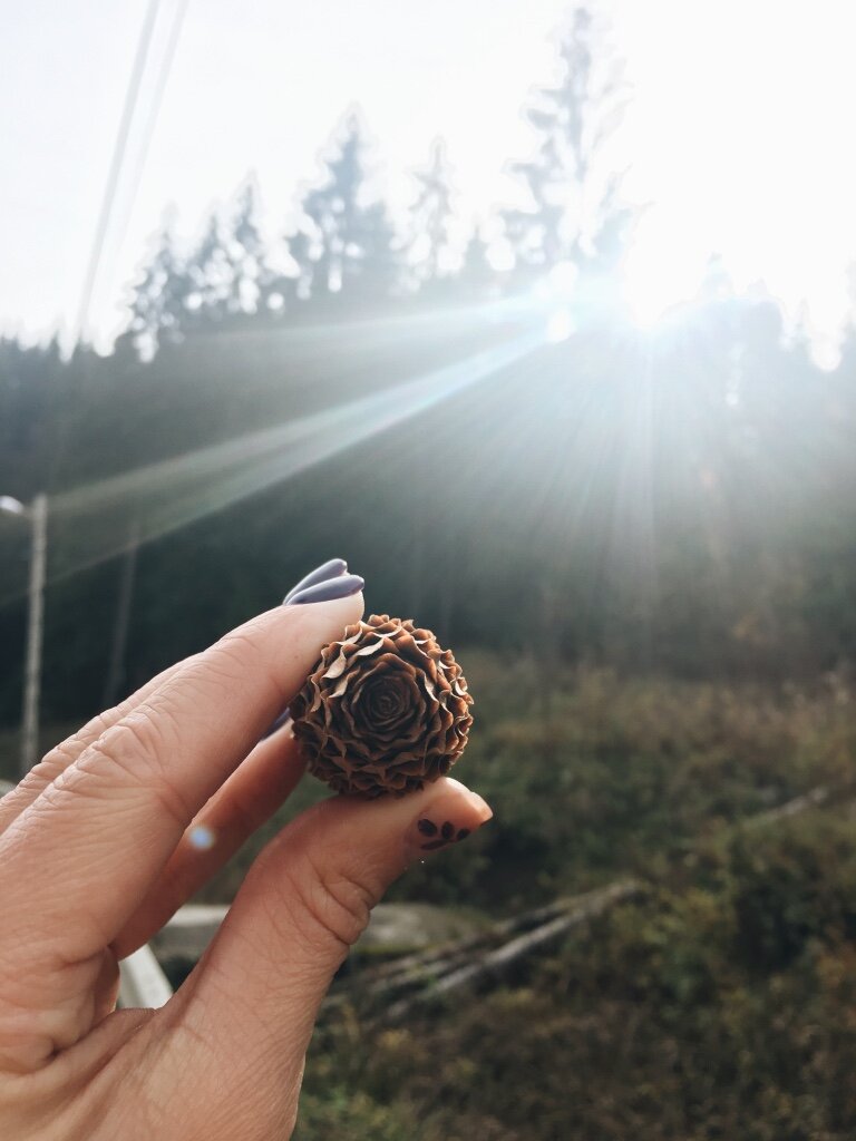 Савранский лес