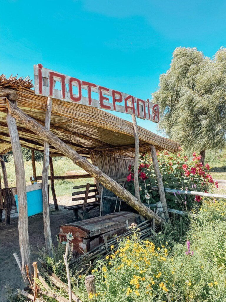 ипотерапия в зеленых хуторах таврии.