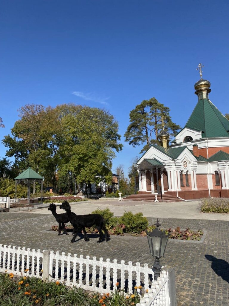 Лами прогнулються на території Свято-Богородичий Ризоположницький чоловічий монастир.