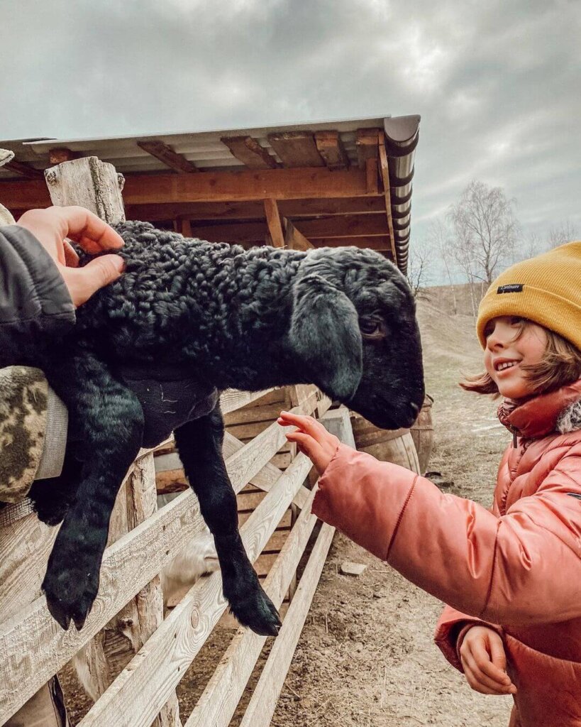 Уютное место вдали городской суеты, с животными, фермерскими продуктами и красивыми пейзажами.