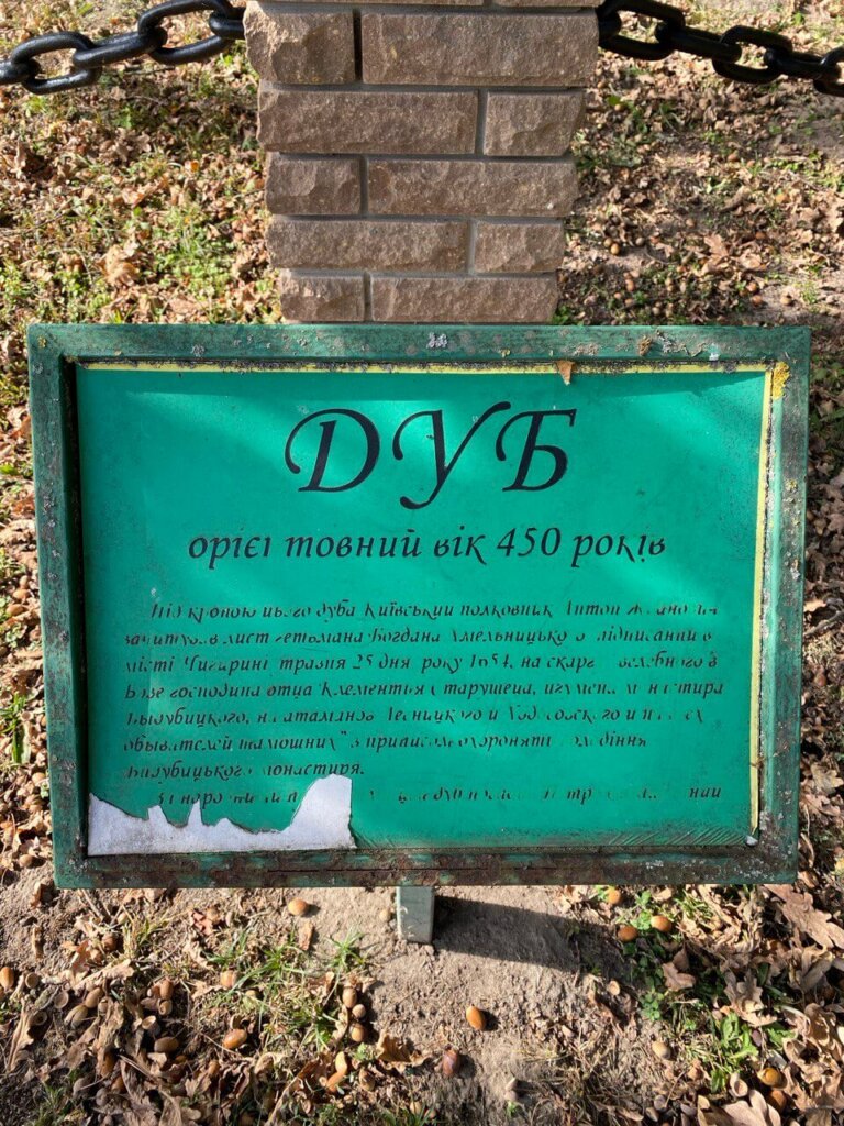 Ходосівський дуб