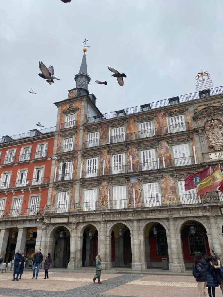 Пласа Майор (Plaza Mayor)