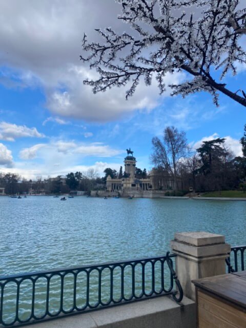 Павільйон Парузель (Palacio de Parque del Retiro),