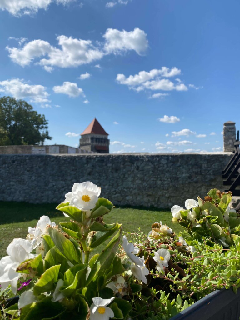 Скалатський замок