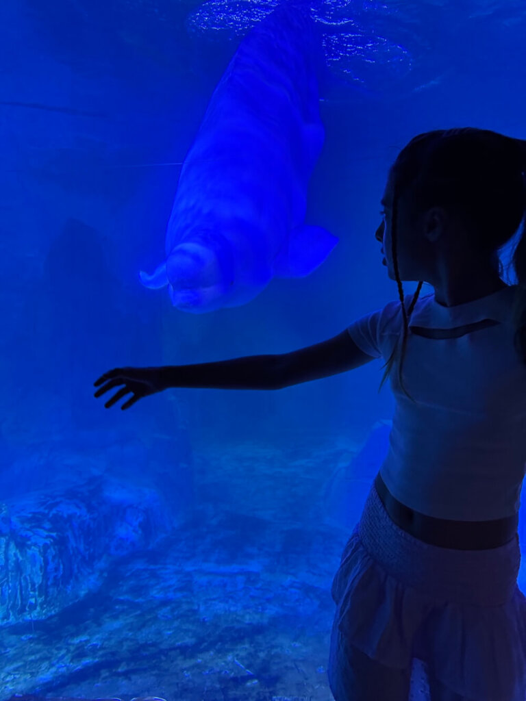 L’Oceanogràfic у Валенсії — найбільший океанаріум Європи
