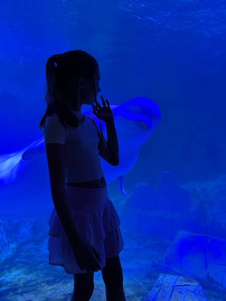 L’Oceanogràfic у Валенсії — найбільший океанаріум Європи
